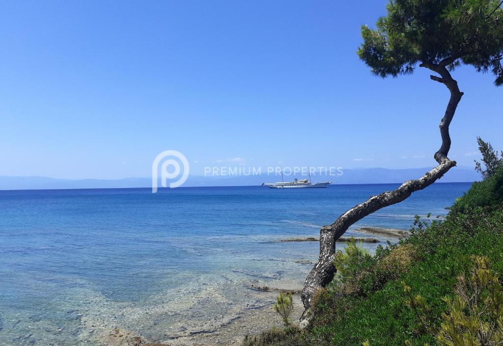 a tree on the side of a beach with a boat at Villa Tranquility - Walk to the Beach with Infinity Pool in Porto Heli