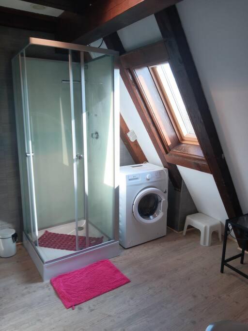 Gîte Les papillons – photo 23