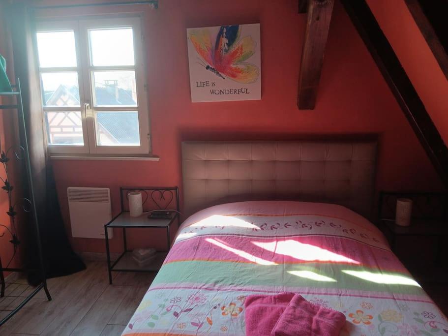 Gîte Les papillons – photo 30