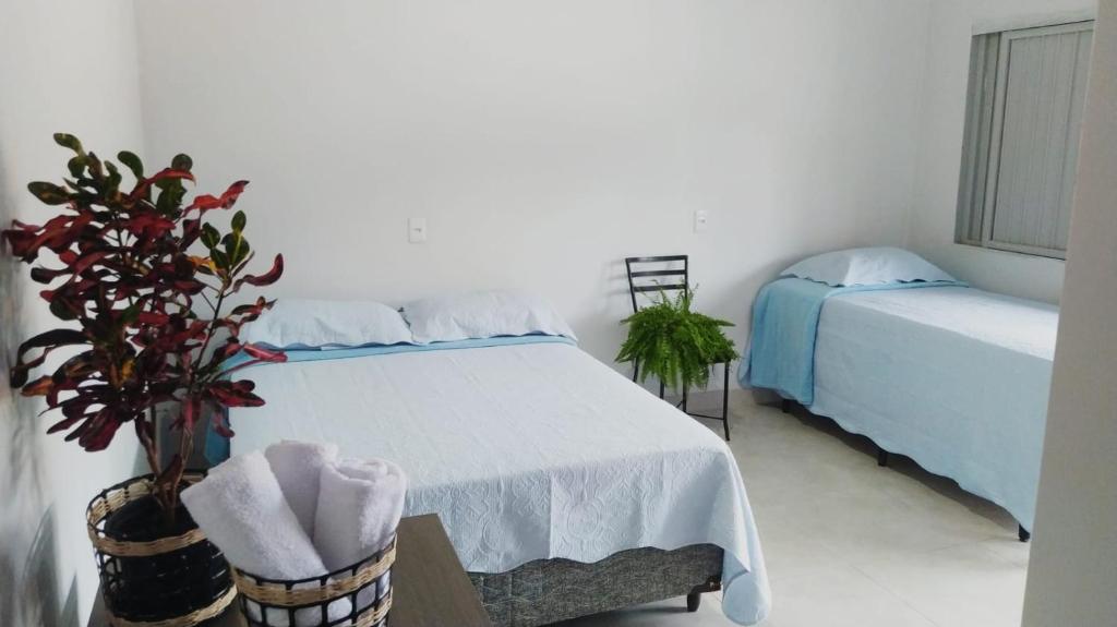 a bedroom with a bed and a plant at Pousada Venture Jalapao in São Félix do Tocantins