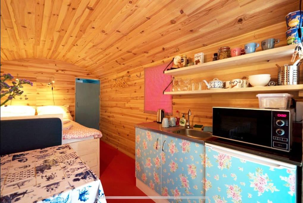 eine Küche in einer Hütte mit einer Spüle und einer Mikrowelle in der Unterkunft Island Sleeping in Aalsmeer