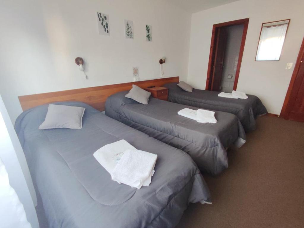 Postel nebo postele na pokoji v ubytování Hosteria Puyehue