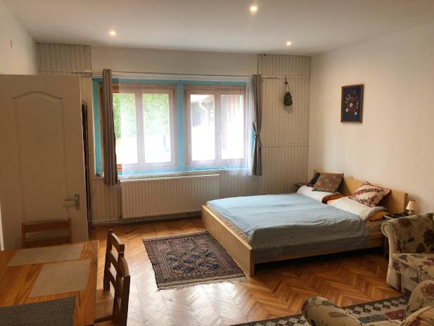 錫伯根尼的住宿－Megújult Mákvirág Vendégház，一间卧室设有一张床和一个大窗户