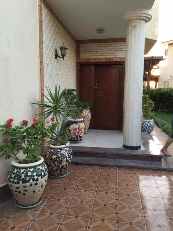 a group of potted plants in front of a house at Private villa North Coast in Dawwār Muḩammad Abū Shanab