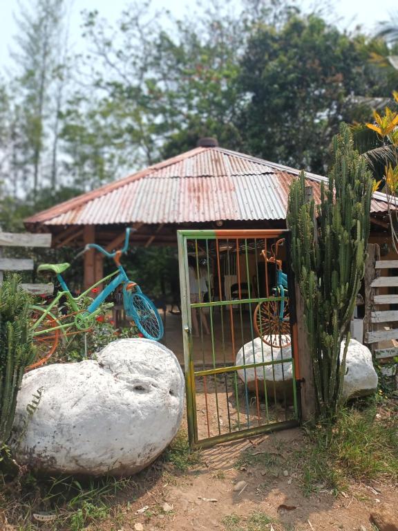 Zahrada ubytování Hostal La Cabaña