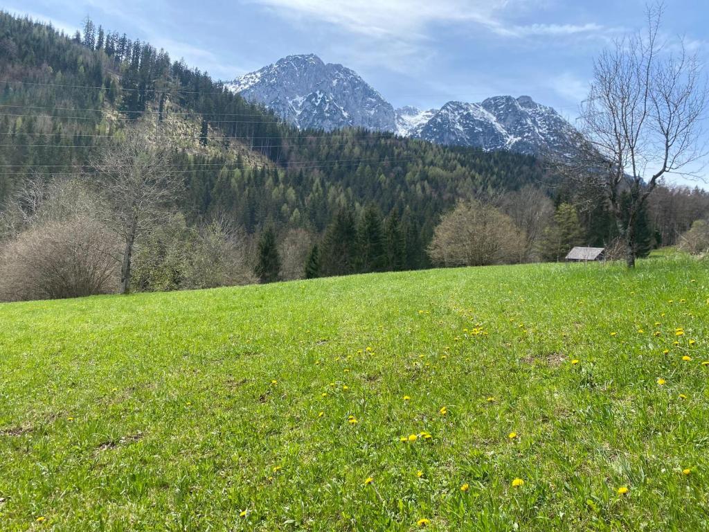 Příroda nedaleko apartmánu