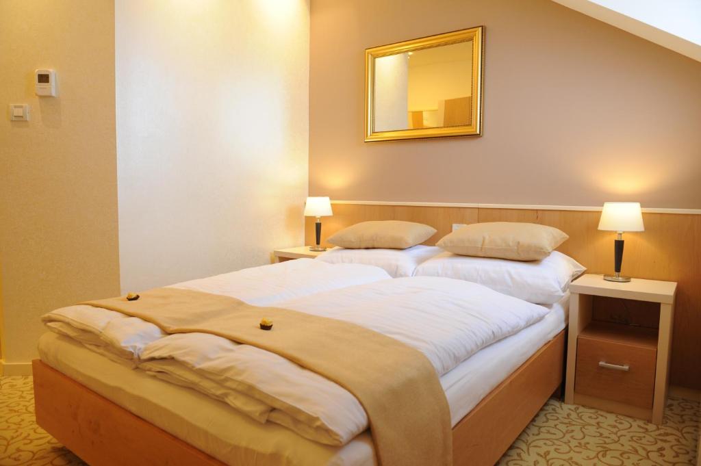 Hotel Gallus - Double Or Twin Room