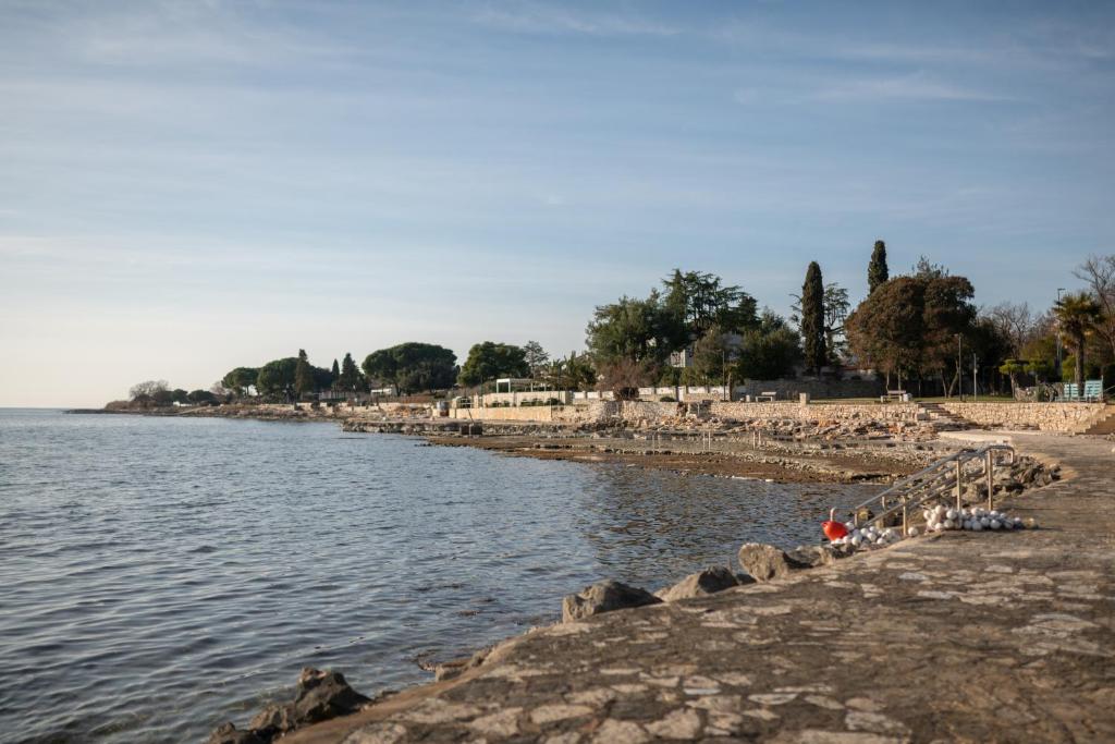 Príroda v okolí apartmánu