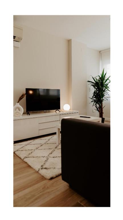 Apartamentos Prolongación Gran Vía Collection