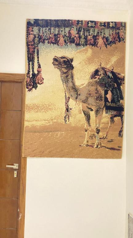 Zvířata v hotelu nebo okolí