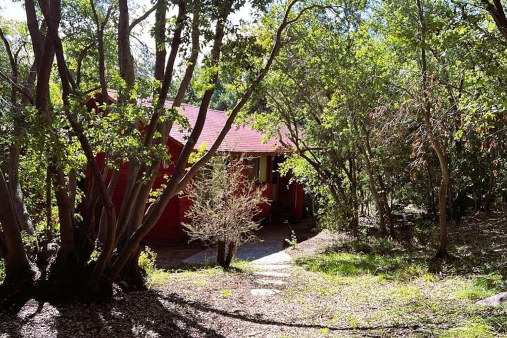 una cabaña roja en medio de un bosque en Bosque Mágico Oasis La Campana Hijuelas, en Ocoa