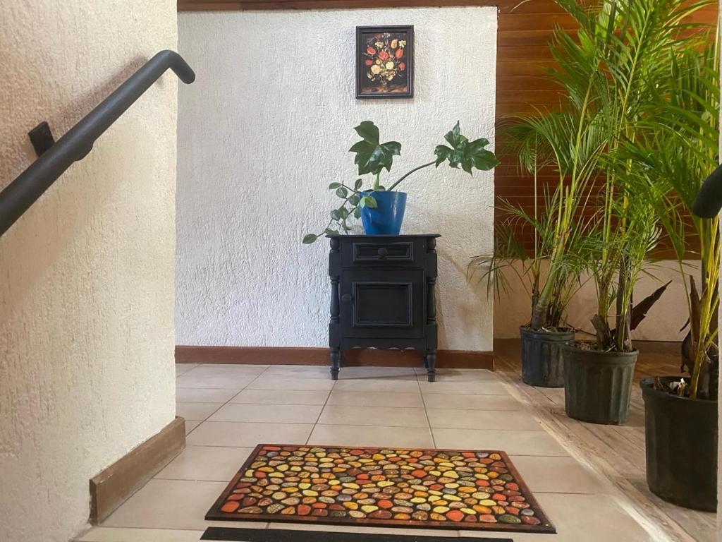 Fotografie z fotogalerie ubytování daBene - Bed & Breakfast v destinaci Alajuela