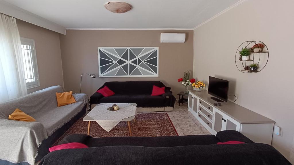 sala de estar con 2 sofás y TV en Veria Ammos apartment to farm with treehouse en Ámmos
