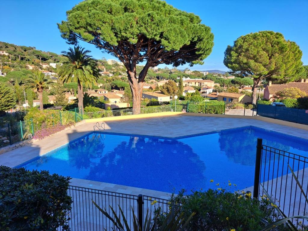 - une piscine dans une villa avec un arbre dans l'établissement Mazet 45 m2 avec vue mer, à Cavalaire-sur-Mer