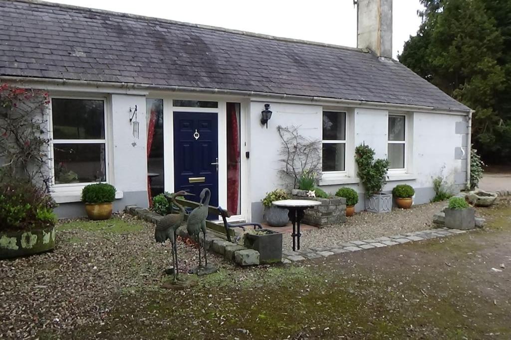una casa blanca con una puerta azul y algunos pájaros en el patio en The Weaver's Cottage en Dungannon
