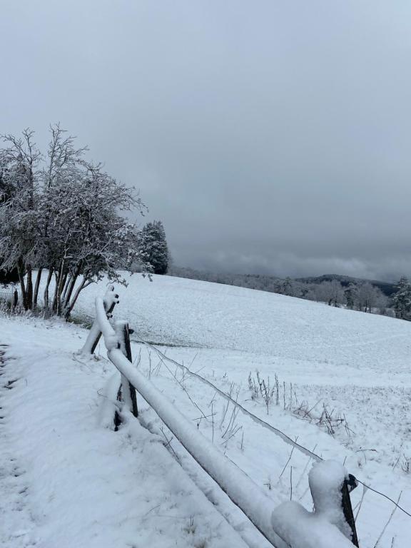 Fotografia z galérie ubytovania El Pis del Centre v destinácii Santa María de Corcó