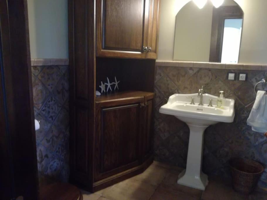 a bathroom with a sink and a mirror at Forest apartment in the loop of the river Neris in Verkšonys
