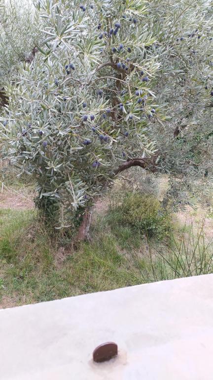 Fotografie z fotogalerie ubytování Manosque: Maison en Provence avec superbe vue v destinaci Manosque