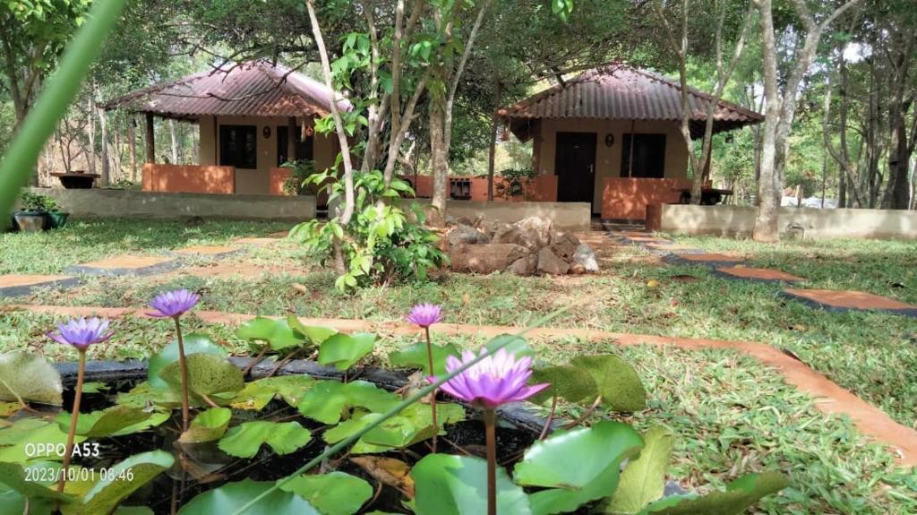 Zahrada ubytování Hôtel Niyagala Lodge Sigiriya