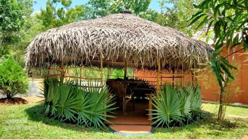 Zahrada ubytování Hôtel Niyagala Lodge Sigiriya