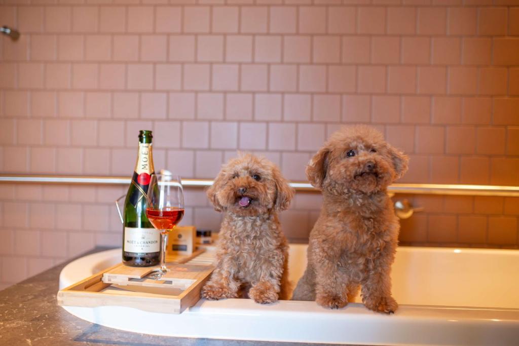 Hyatt Centric Melbourne - Resim 41