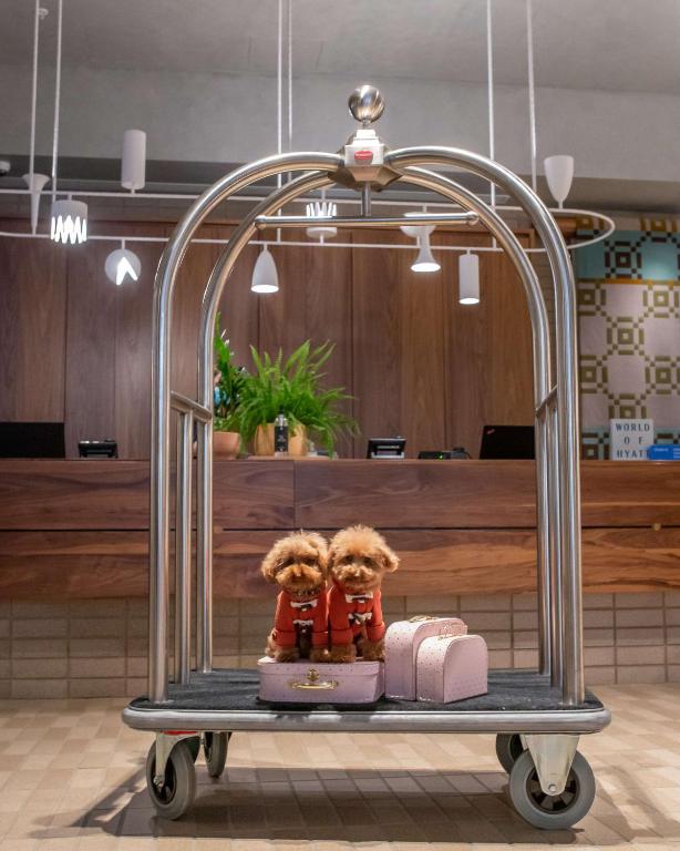 Hyatt Centric Melbourne - Resim 43