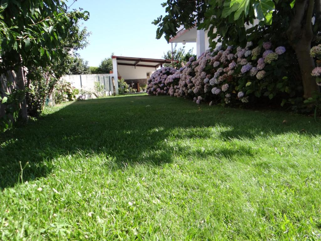 a yard with green grass and a hedge with purple flowers at Ribeiro´s House in Gafanha da Nazaré
