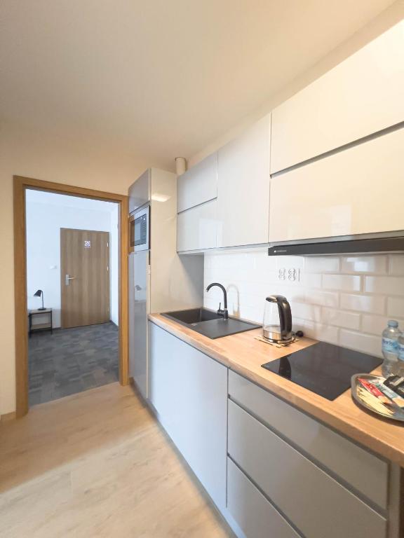 Kuchyň nebo kuchyňský kout v ubytování Hotel Beskidian