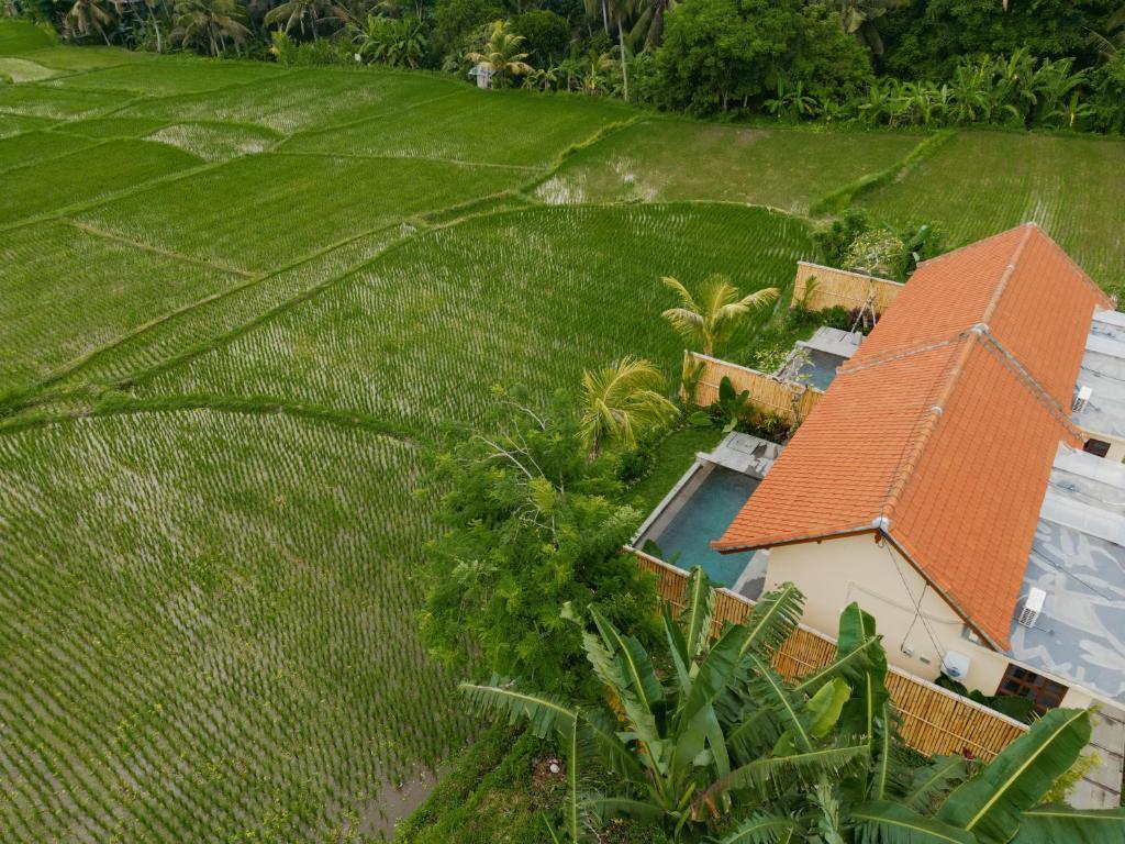 Uma Rimbun Villa by Dhananjaya Hospitality - 9