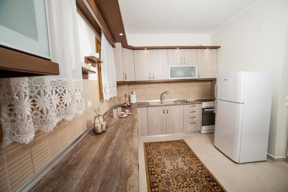 Kuchyň nebo kuchyňský kout v ubytování 4BR Sea View Villa in Halkidiki
