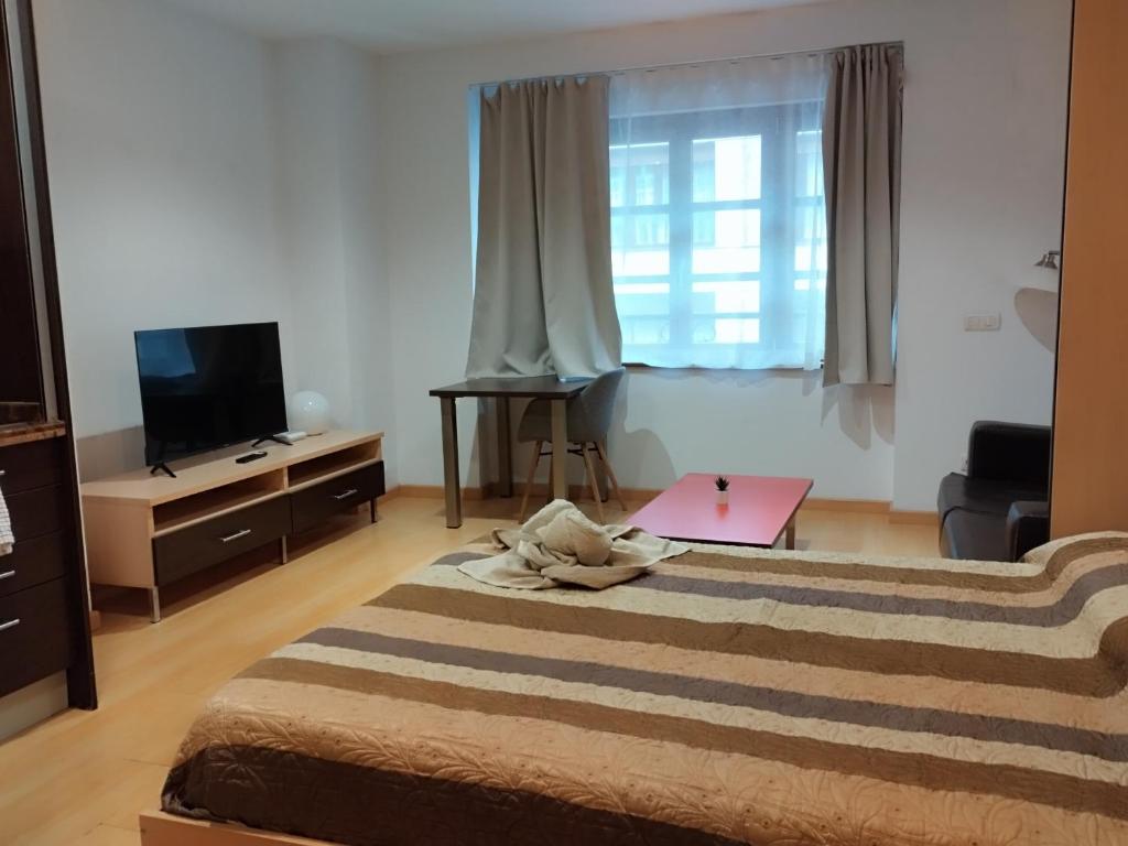 a bedroom with a large bed and a television at Estudio Céntrico B4 in Oviedo