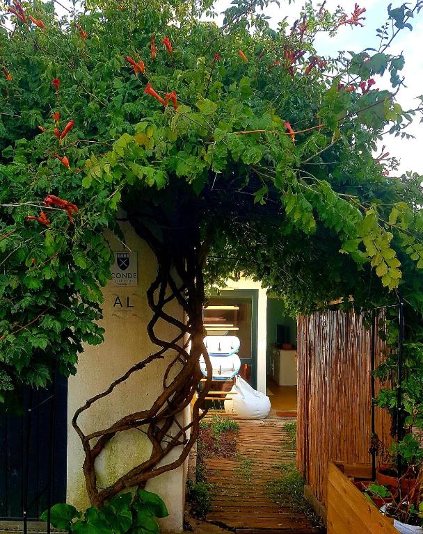 a tree in the middle of a garden at Conde Surf Camp - junto ao mar - entire pvt house in Vila do Conde