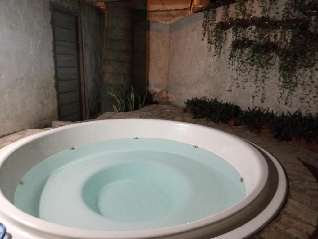 a bathroom with a toilet with a blue bowl at Espacios amplios con terraza y piscina spa in San Lorenzo