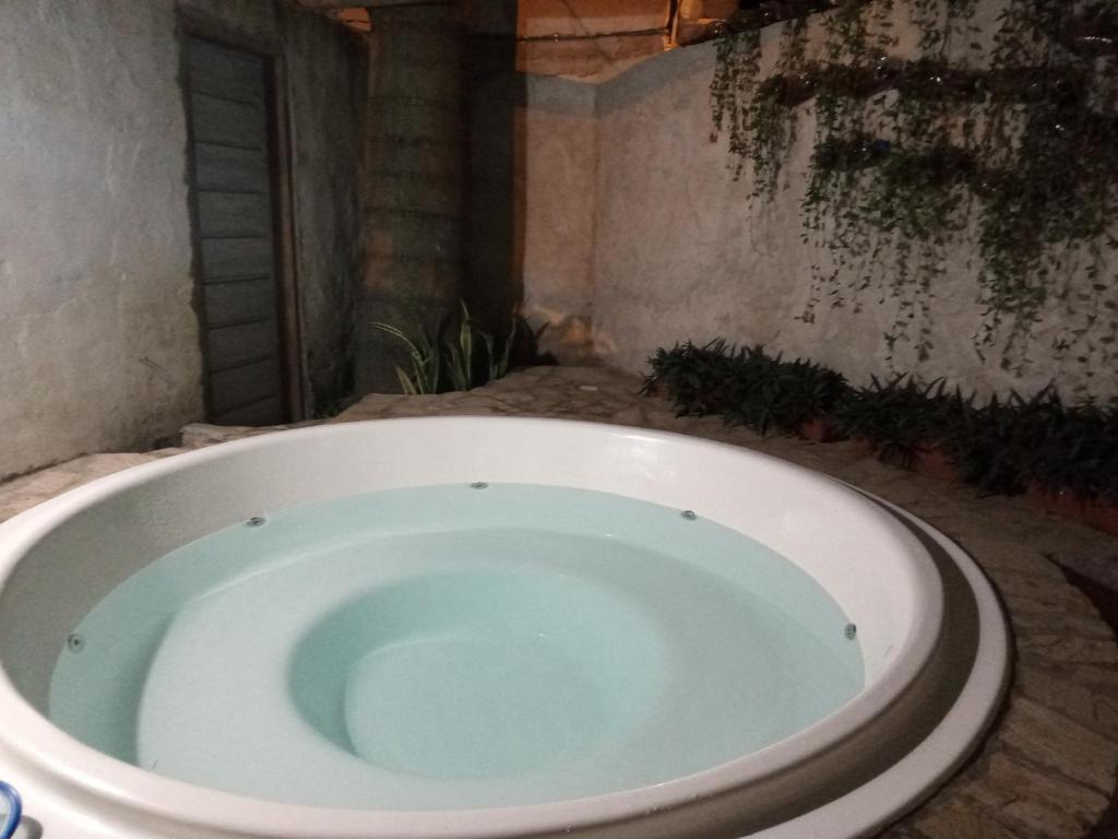 Fotografie z fotogalerie ubytování Espacios amplios con terraza y piscina spa v destinaci San Lorenzo