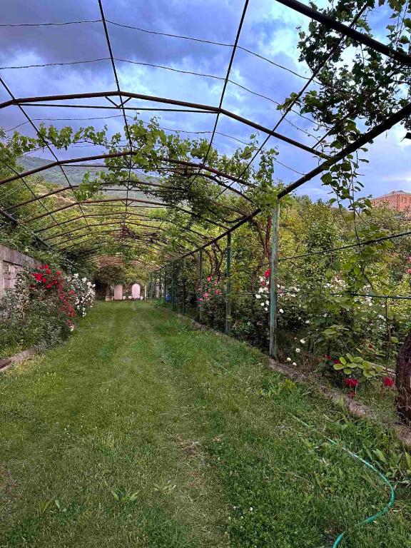 Fotografie z fotogalerie ubytování Luse Guest House v destinaci Ijevan