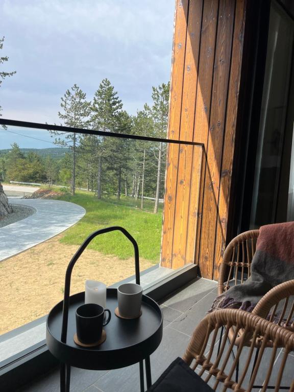 Příroda nedaleko apartmánu