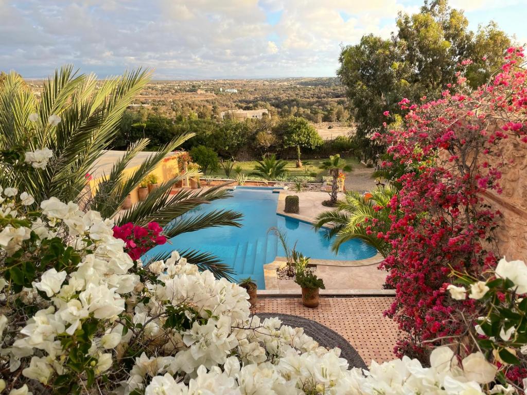 een uitzicht op een zwembad met roze en witte bloemen bij Dar Volubilis spacieuse villa avec piscine, 5 chambres vue sur forêt in Essaouira