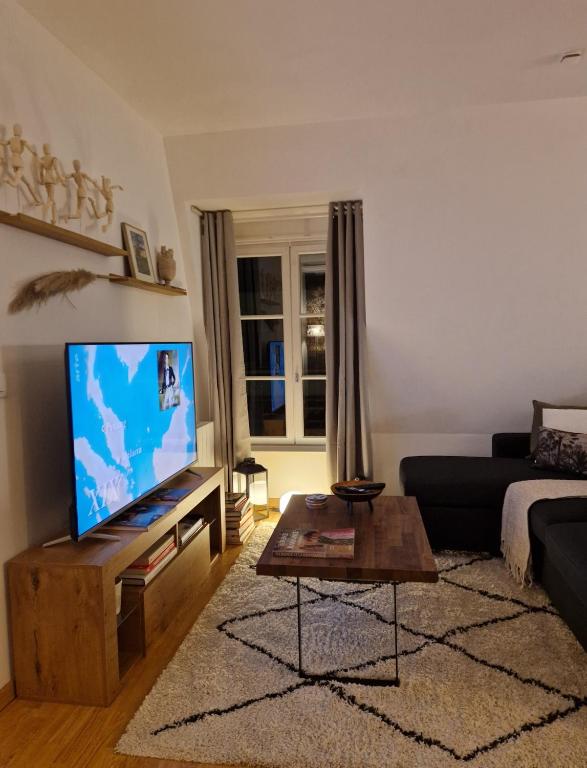 TV a/nebo společenská místnost v ubytování Chez Valérian, gare de Chantilly