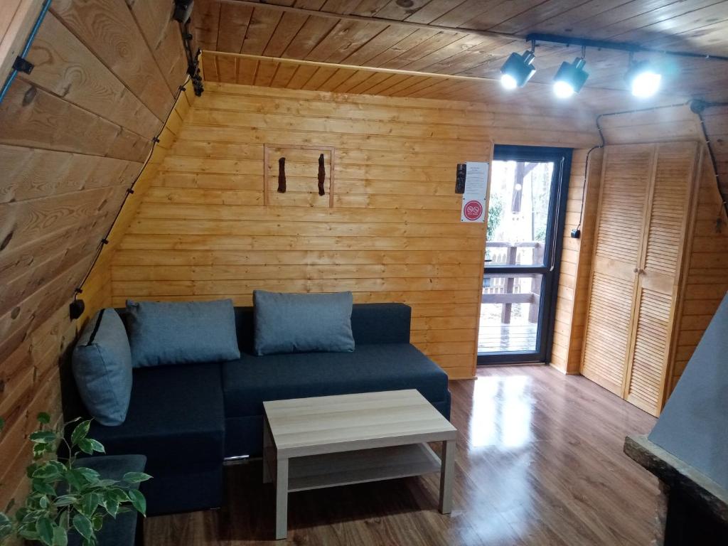 a living room with a couch and a table at Chatka pod lasem in Jarnołtówek