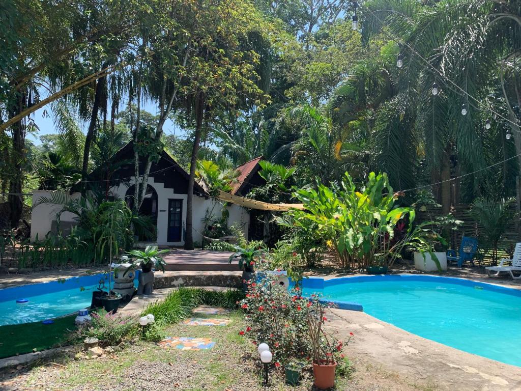 a house with a swimming pool in front of it at Hotel Mandacarú Puerto Viejo in Puerto Viejo