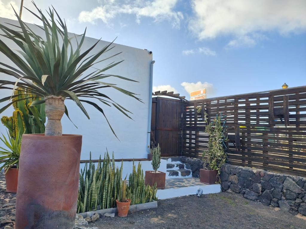 A garden outside Las Casitas Masdache