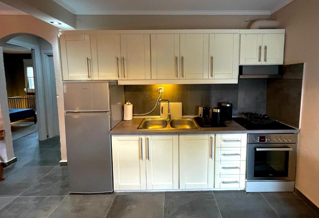 Kuchyň nebo kuchyňský kout v ubytování MK Residences