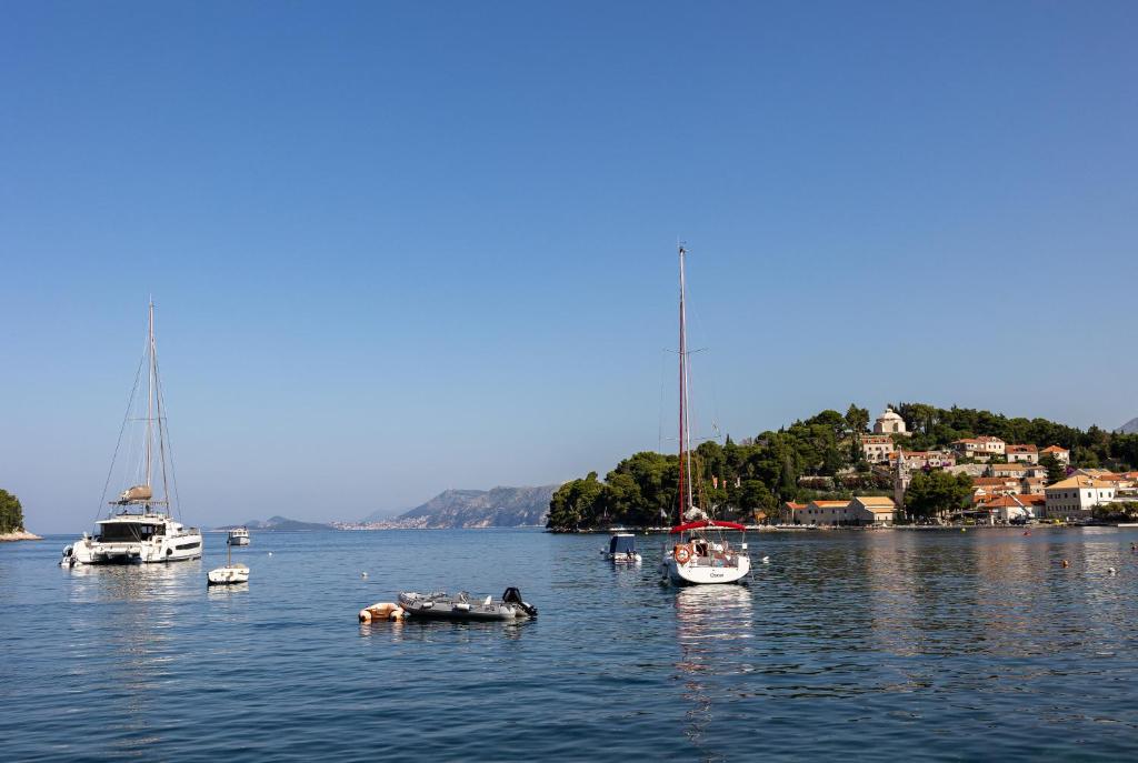a group of boats in a body of water at Floret Apartment in Cavtat