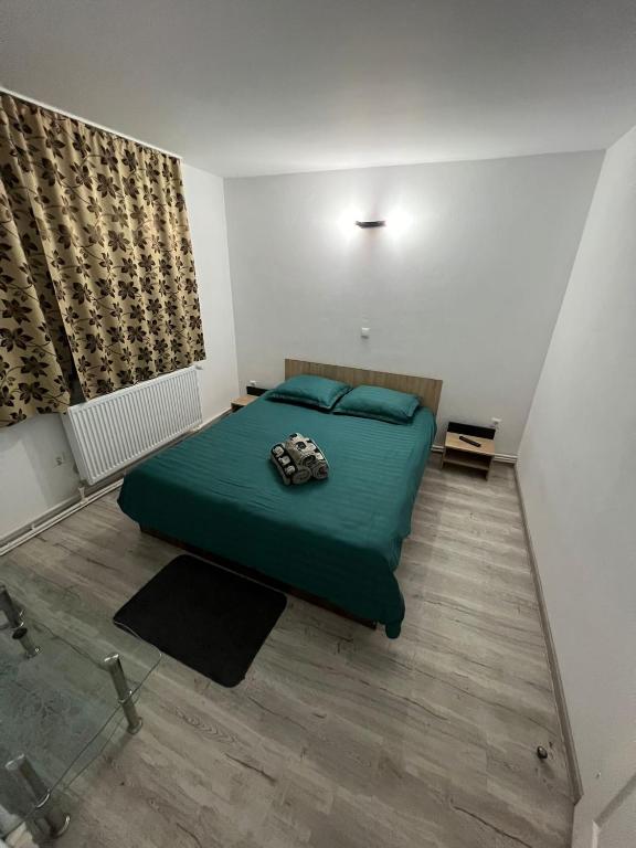 Un pat sau paturi într-o cameră la Casa Dragoeni, Targu Jiu