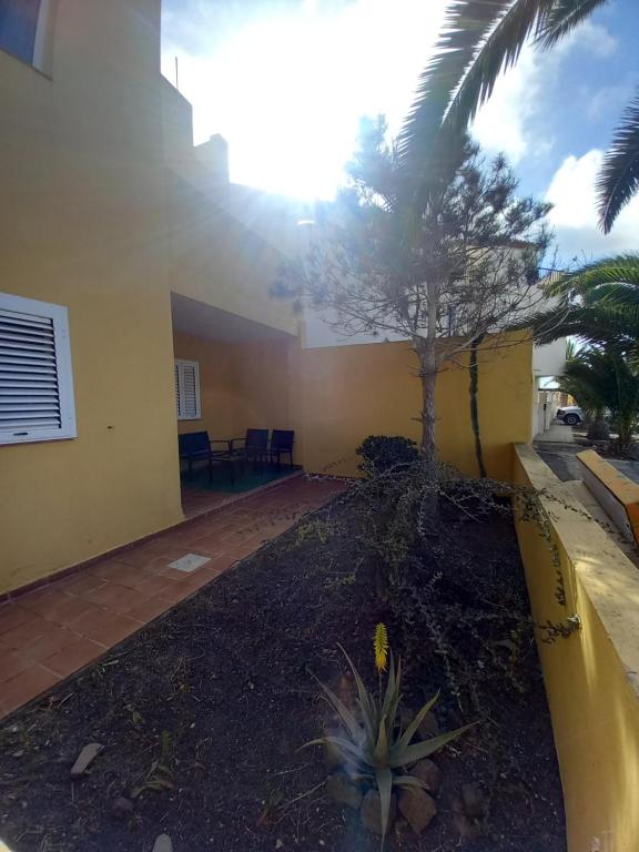 un cortile con un albero e un edificio giallo di Nico La Oliva beach a La Oliva