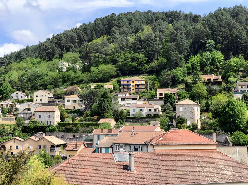 a group of houses in front of a mountain at Grand hôtel de l&#39;Europe in Vals-les-Bains