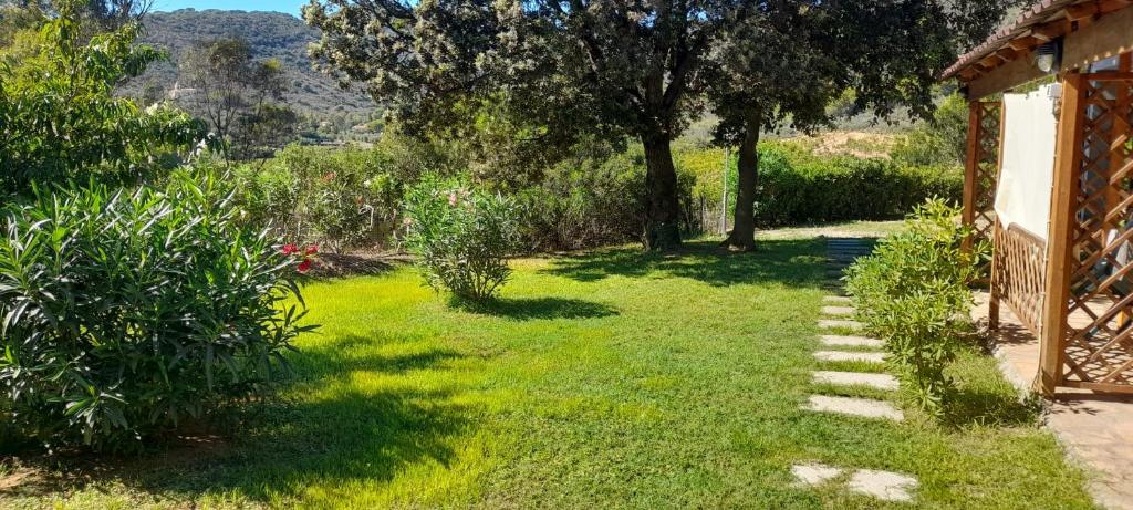 a garden with grass and trees and a house at Appartamenti La Rosa dei Venti in Lacona