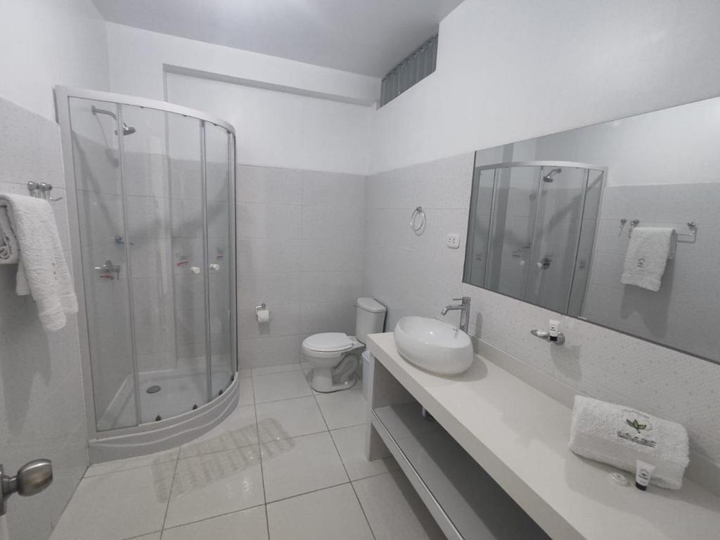 Koupelna v ubytování La Casa de Algodon