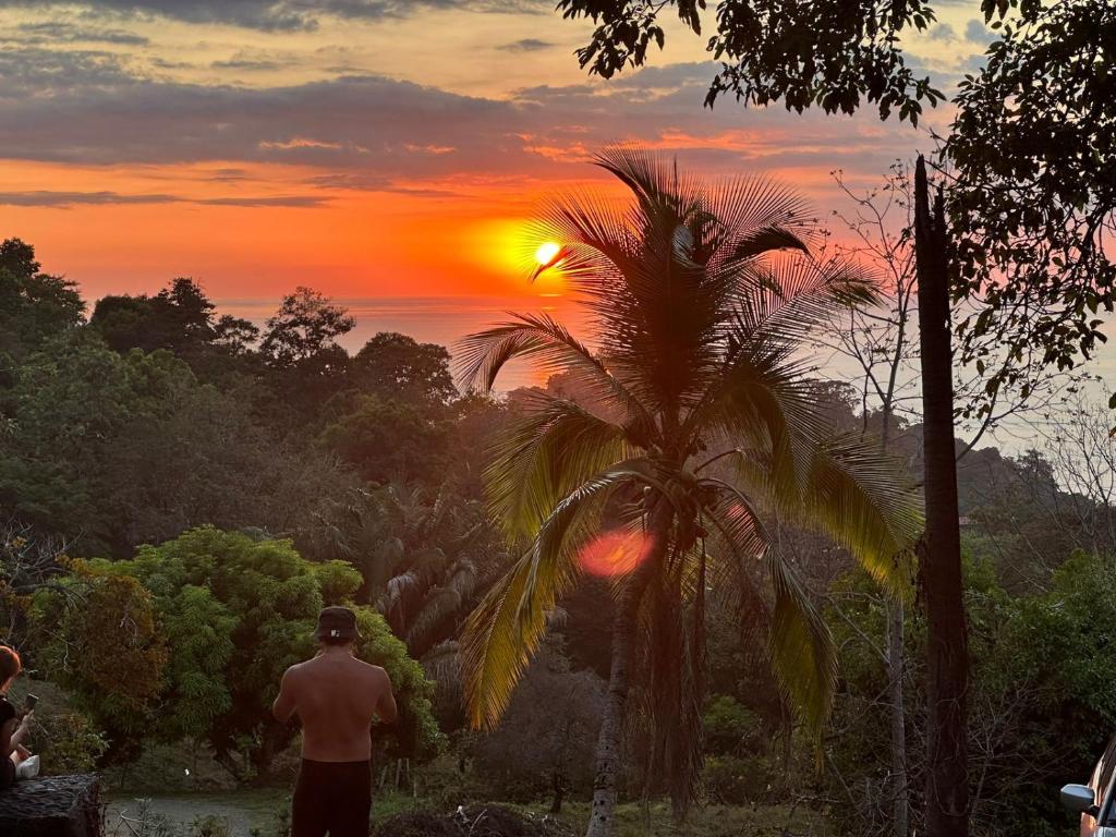 a man standing under a palm tree looking at the sunset at Manuel Antonio Inn Paradise in Quepos