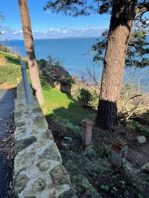 un mur de pierre à côté de deux arbres et de l'océan dans l'établissement Ty Domovoï, vue mer, à Douarnenez